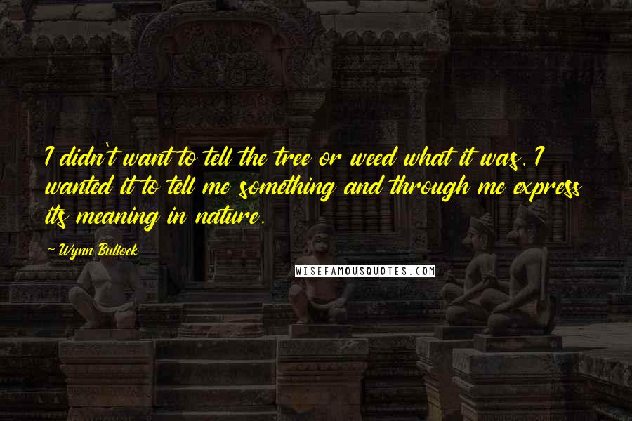 Wynn Bullock quotes: I didn't want to tell the tree or weed what it was. I wanted it to tell me something and through me express its meaning in nature.