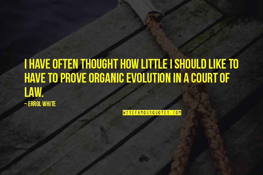 Wypracowanie Quotes By Errol White: I have often thought how little I should Wypracowanie Quotes By Errol White: I have often thought how little I should