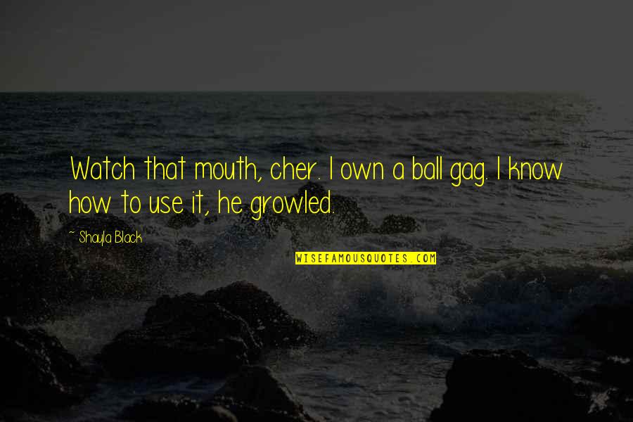 Wyse Woorde Quotes By Shayla Black: Watch that mouth, cher. I own a ball