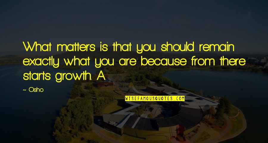 Wysestine Quotes By Osho: What matters is that you should remain exactly