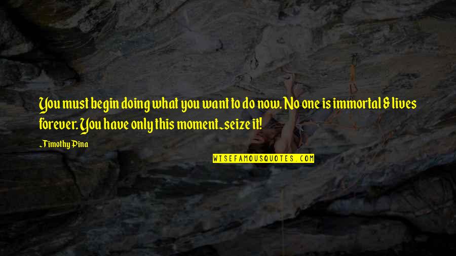 X Men Movie Magneto Quotes By Timothy Pina: You must begin doing what you want to