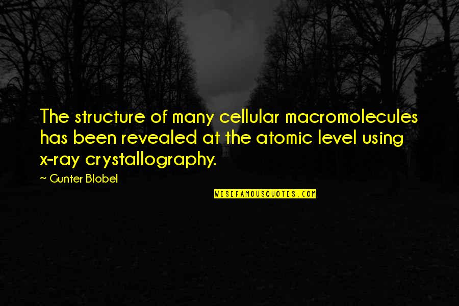 X Ray Quotes By Gunter Blobel: The structure of many cellular macromolecules has been