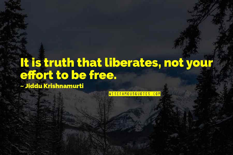 X Ray Tech Funny Quotes By Jiddu Krishnamurti: It is truth that liberates, not your effort