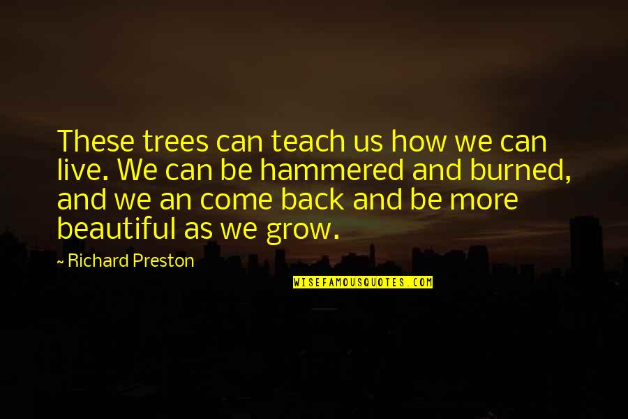 X200ca Quotes By Richard Preston: These trees can teach us how we can