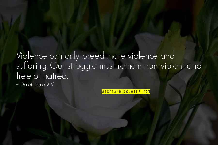 Xantia Turbo Quotes By Dalai Lama XIV: Violence can only breed more violence and suffering. Xantia Turbo Quotes By Dalai Lama XIV: Violence can only breed more violence and suffering.