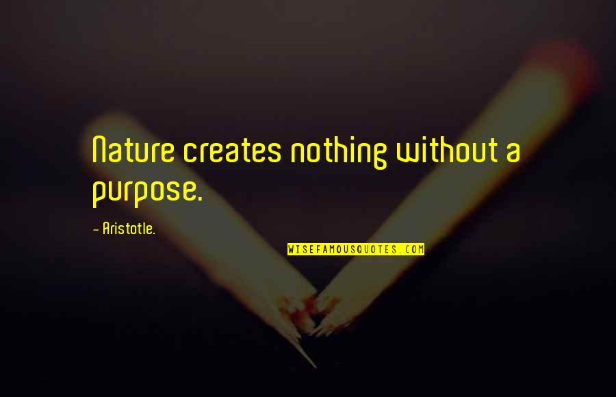 Xavier Nady Quotes By Aristotle.: Nature creates nothing without a purpose.
