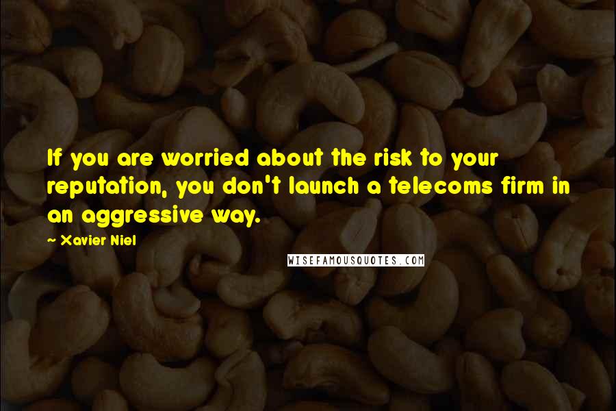 Xavier Niel quotes: If you are worried about the risk to your reputation, you don't launch a telecoms firm in an aggressive way.