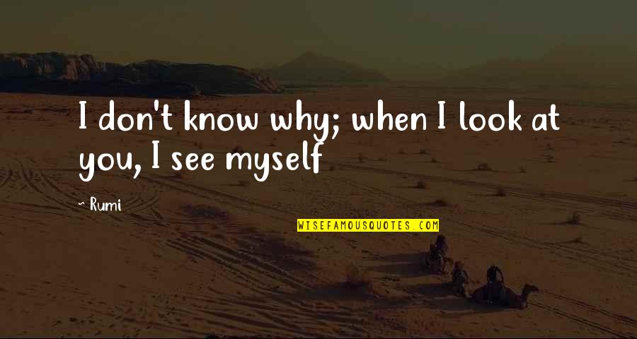 Xcvii007r1 Quotes By Rumi: I don't know why; when I look at