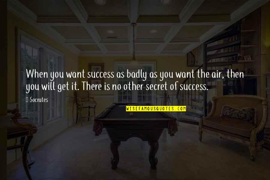 Xenobioform Quotes By Socrates: When you want success as badly as you