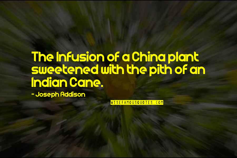 Xenophanes Beliefs Quotes By Joseph Addison: The Infusion of a China plant sweetened with