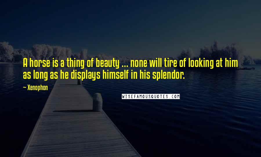 Xenophon quotes: A horse is a thing of beauty ... none will tire of looking at him as long as he displays himself in his splendor.