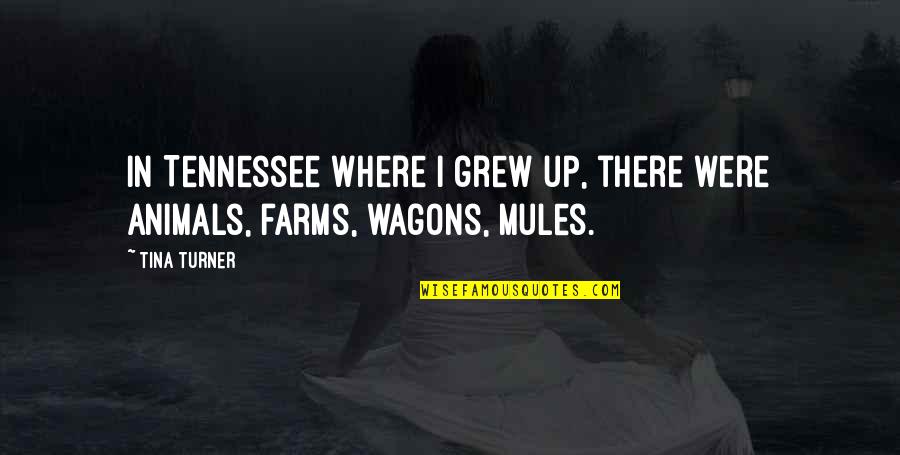 Xfinity 21 Quotes By Tina Turner: In Tennessee where I grew up, there were