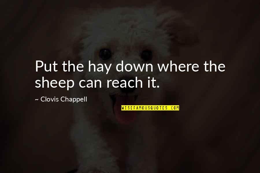 Xhosa Language Quotes By Clovis Chappell: Put the hay down where the sheep can Xhosa Language Quotes By Clovis Chappell: Put the hay down where the sheep can