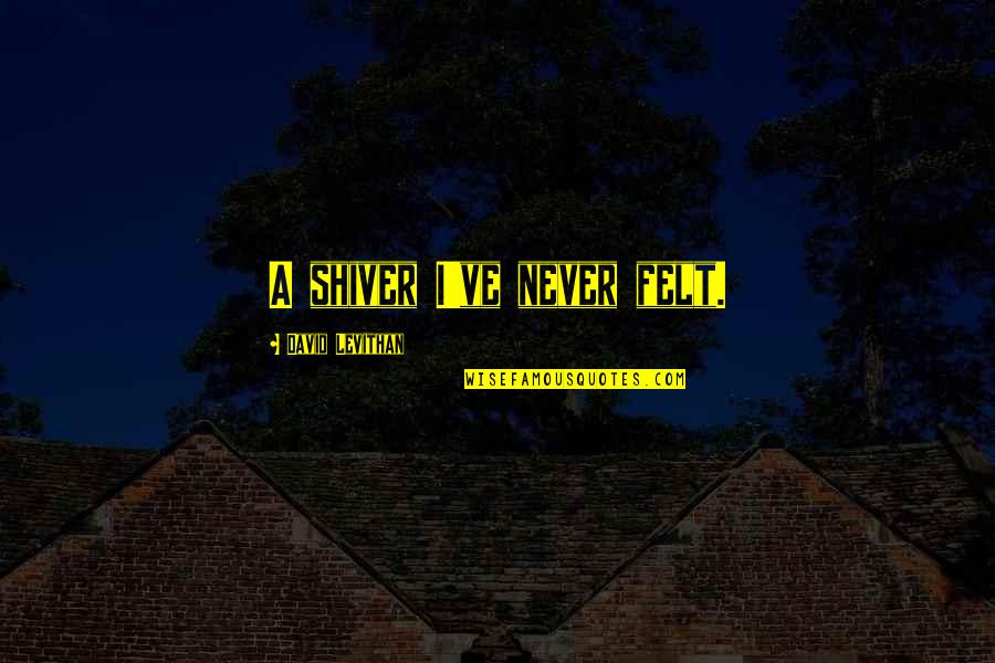 Xiaogang Su Quotes By David Levithan: A shiver I've never felt.