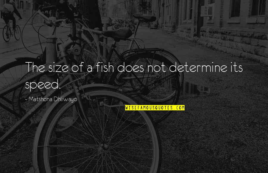Xiaoling Genshin Quotes By Matshona Dhliwayo: The size of a fish does not determine Xiaoling Genshin Quotes By Matshona Dhliwayo: The size of a fish does not determine