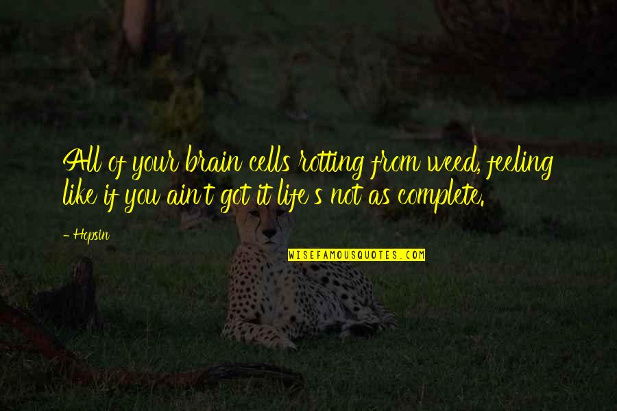 Xiaowuc1 Quotes By Hopsin: All of your brain cells rotting from weed, Xiaowuc1 Quotes By Hopsin: All of your brain cells rotting from weed,