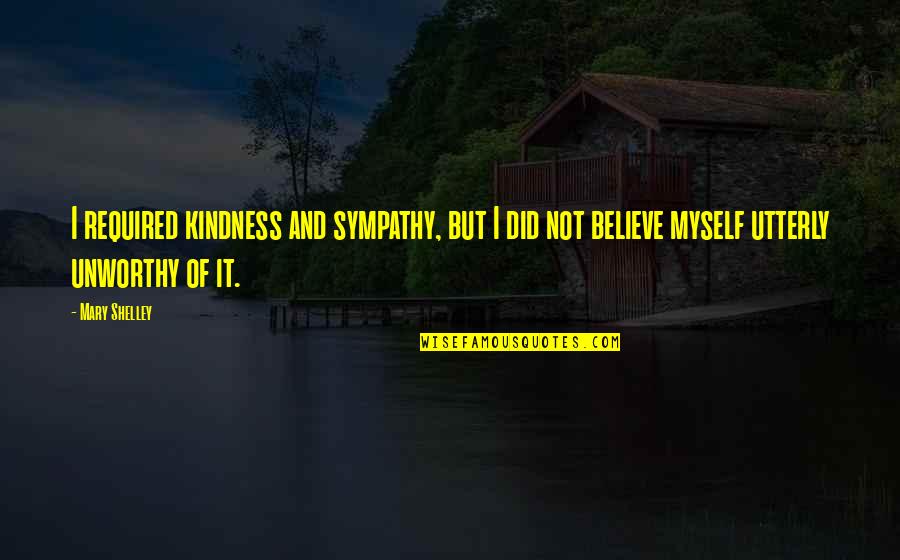 Xibalba Band Quotes By Mary Shelley: I required kindness and sympathy, but I did Xibalba Band Quotes By Mary Shelley: I required kindness and sympathy, but I did