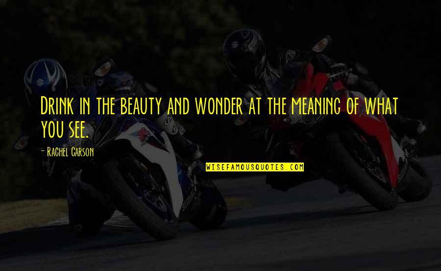 Xilai Bo Quotes By Rachel Carson: Drink in the beauty and wonder at the Xilai Bo Quotes By Rachel Carson: Drink in the beauty and wonder at the