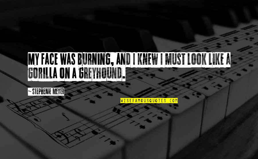 Xintavelonis Elena Quotes By Stephenie Meyer: My face was burning, and I knew I