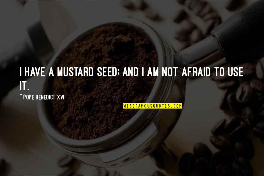 Xvi's Quotes By Pope Benedict XVI: I have a mustard seed; and I am