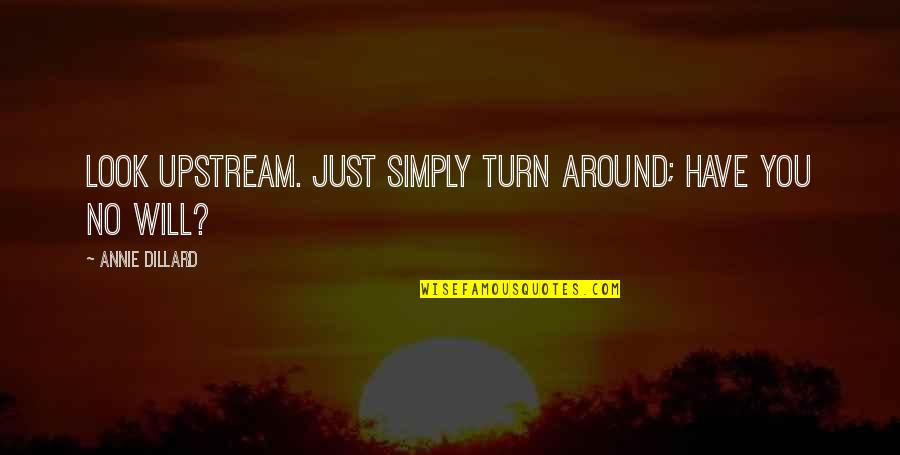 Xxvii Super Quotes By Annie Dillard: Look upstream. Just simply turn around; have you Xxvii Super Quotes By Annie Dillard: Look upstream. Just simply turn around; have you
