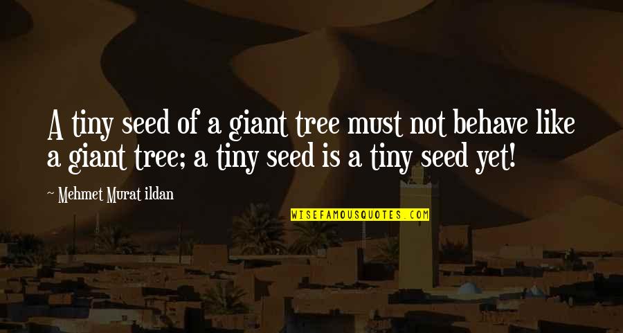 Xyld Quotes By Mehmet Murat Ildan: A tiny seed of a giant tree must