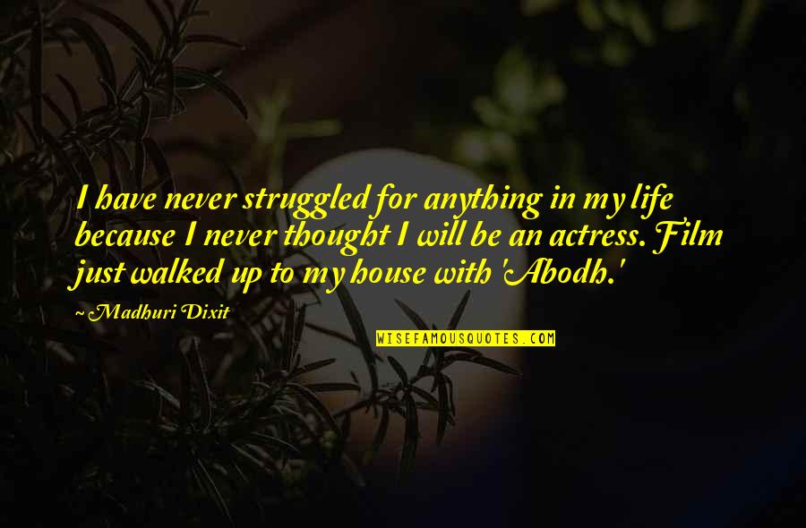 Y I Luv U Quotes By Madhuri Dixit: I have never struggled for anything in my