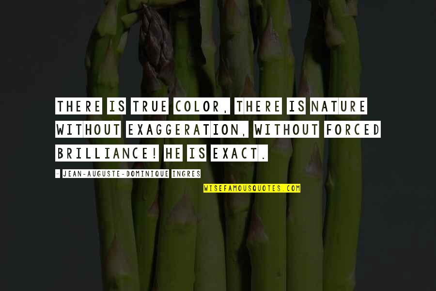 Ya Ali Quotes By Jean-Auguste-Dominique Ingres: There is true color, there is nature without