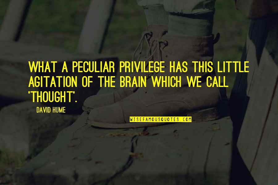 Ya Espionage Spy Thriller Quotes By David Hume: What a peculiar privilege has this little agitation