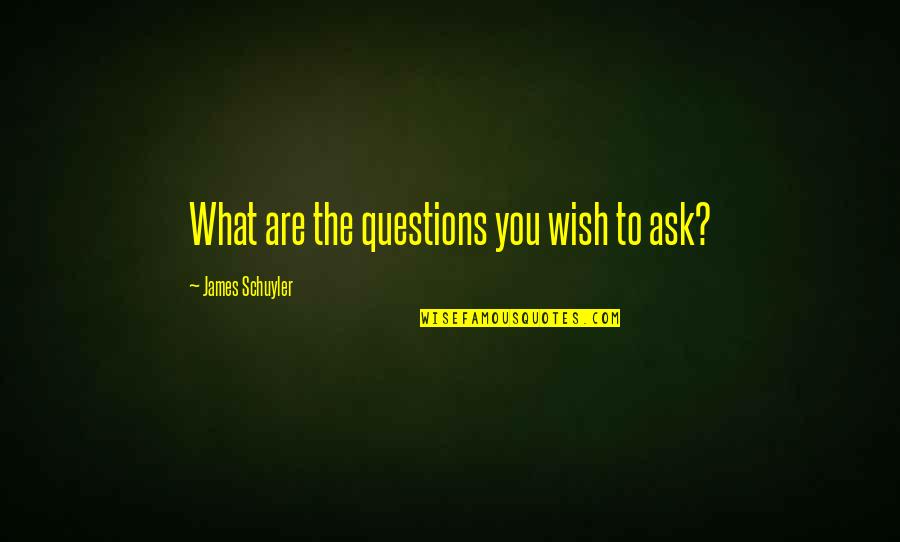 Yaar Beli Quotes By James Schuyler: What are the questions you wish to ask?