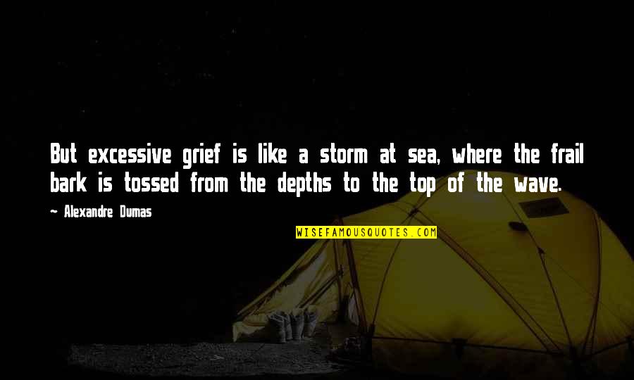 Yaaro Dosti Quotes By Alexandre Dumas: But excessive grief is like a storm at