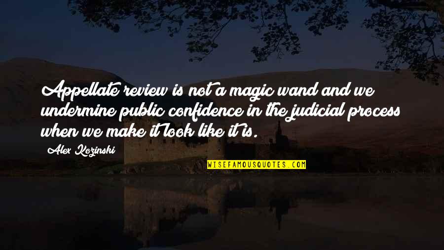 Yabba Quotes By Alex Kozinski: Appellate review is not a magic wand and