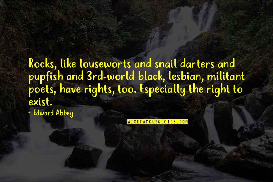 Yabe Quotes By Edward Abbey: Rocks, like louseworts and snail darters and pupfish