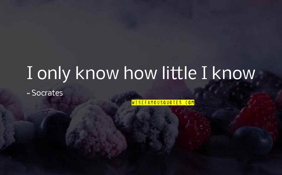Yablonski Costello Quotes By Socrates: I only know how little I know Yablonski Costello Quotes By Socrates: I only know how little I know