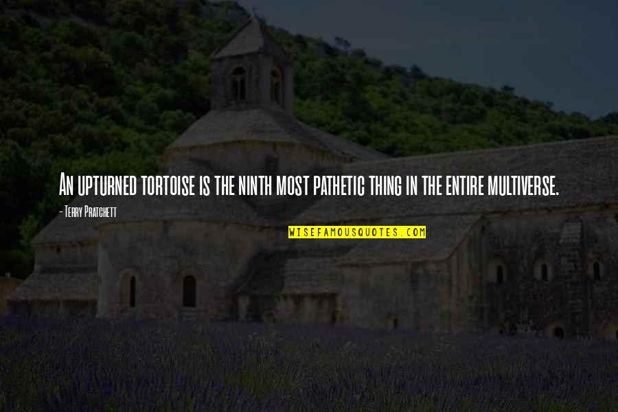 Yacouba Sissoko Quotes By Terry Pratchett: An upturned tortoise is the ninth most pathetic