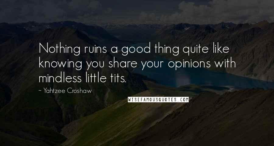 Yahtzee Croshaw quotes: Nothing ruins a good thing quite like knowing you share your opinions with mindless little tits.