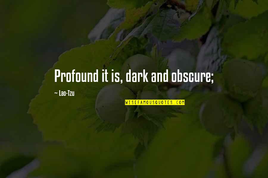 Yahye Amir Quotes By Lao-Tzu: Profound it is, dark and obscure; Yahye Amir Quotes By Lao-Tzu: Profound it is, dark and obscure;