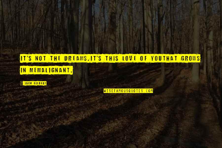 Yajuvendra Chahal Quotes By Jack Gilbert: It's not the dreams.It's this love of youthat