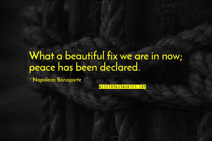 Yakira Klein Quotes By Napoleon Bonaparte: What a beautiful fix we are in now; Yakira Klein Quotes By Napoleon Bonaparte: What a beautiful fix we are in now;