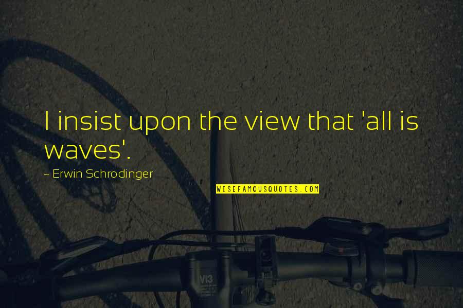 Yakshi Novel Quotes By Erwin Schrodinger: I insist upon the view that 'all is