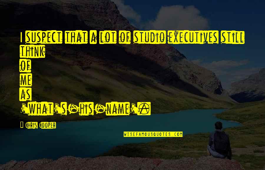 Yale Its Support Quotes By Chris Cooper: I suspect that a lot of studio executives