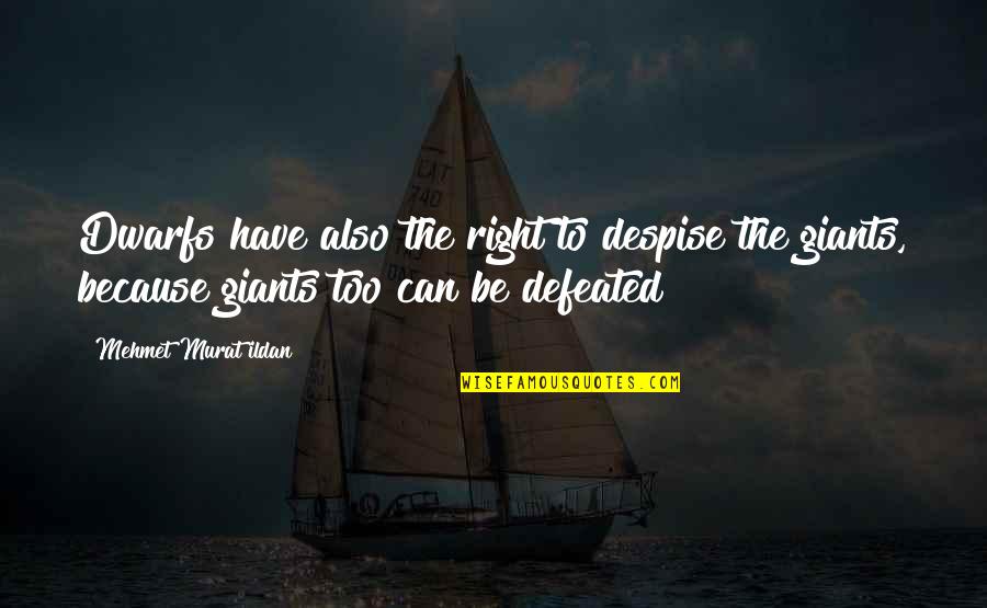 Yale Quote Quotes By Mehmet Murat Ildan: Dwarfs have also the right to despise the Yale Quote Quotes By Mehmet Murat Ildan: Dwarfs have also the right to despise the