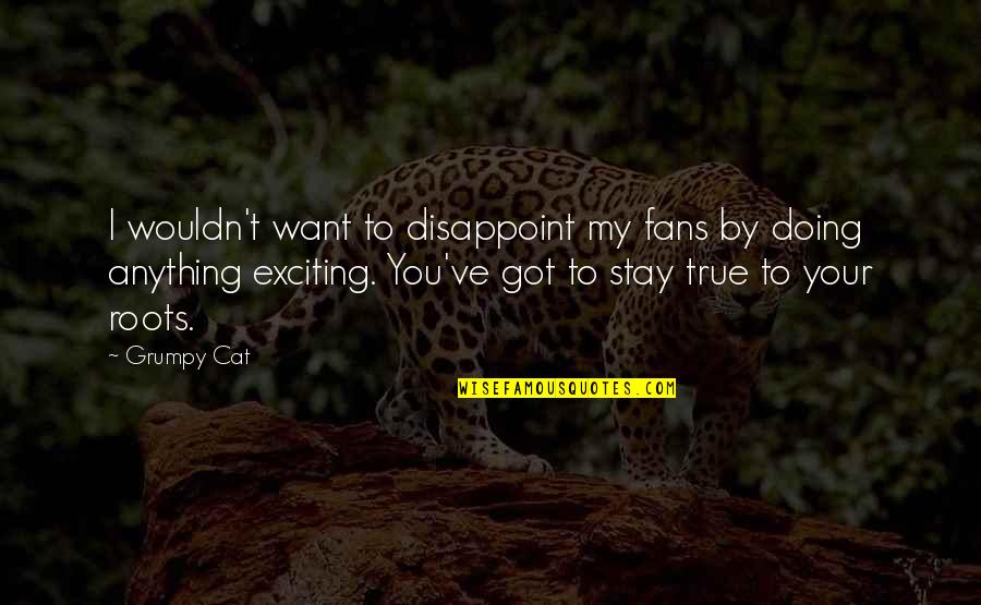 Yams In Things Fall Apart Quotes By Grumpy Cat: I wouldn't want to disappoint my fans by