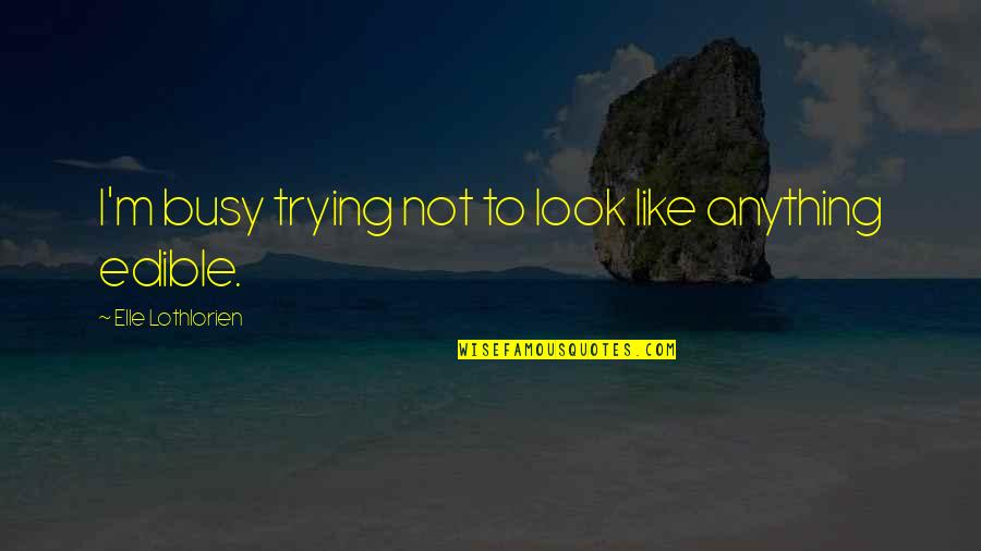Yamyam Gucong Quotes By Elle Lothlorien: I'm busy trying not to look like anything Yamyam Gucong Quotes By Elle Lothlorien: I'm busy trying not to look like anything