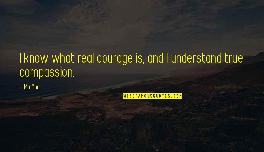 Yan Yan Quotes By Mo Yan: I know what real courage is, and I