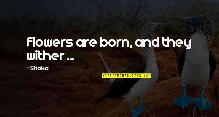 Yanagida Hajime Quotes By Shaka: Flowers are born, and they wither ...