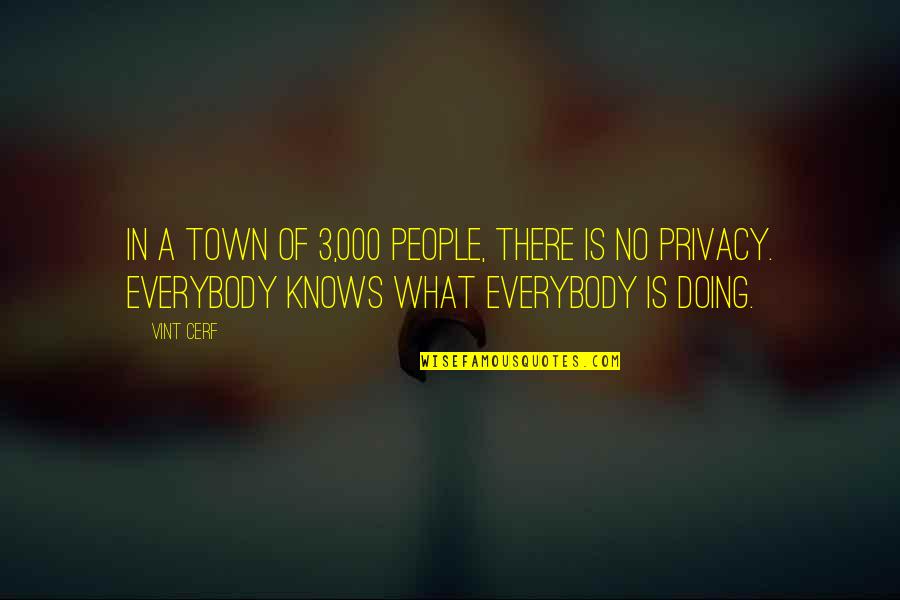 Yanara Reda Quotes By Vint Cerf: In a town of 3,000 people, there is Yanara Reda Quotes By Vint Cerf: In a town of 3,000 people, there is