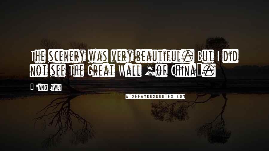 Yang Liwei quotes: The scenery was very beautiful. But I did not see The Great Wall [of China].
