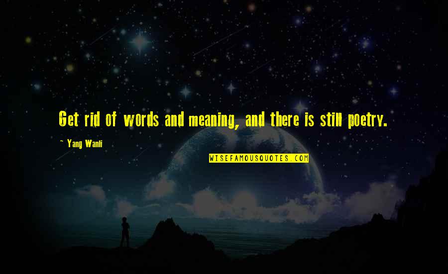 Yang.terdalam Quotes By Yang Wanli: Get rid of words and meaning, and there