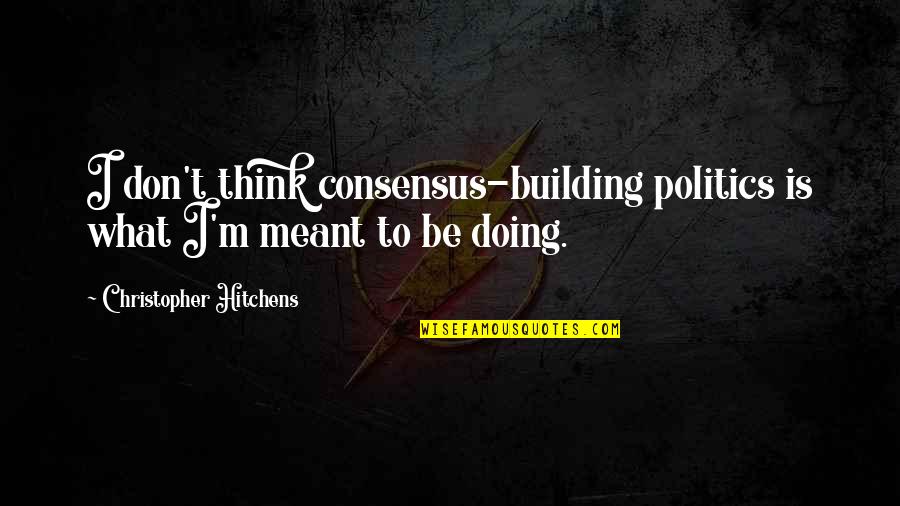 Yangphel Tours Quotes By Christopher Hitchens: I don't think consensus-building politics is what I'm